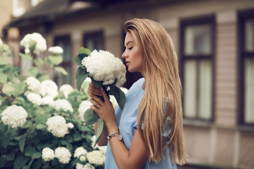 Why does my house smell?