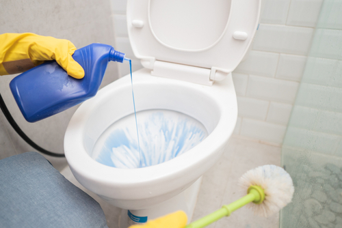 How-to-Clean-Your-Toilet-Like-a-Professional
