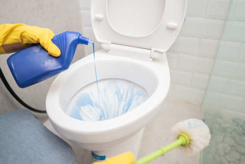 How to Clean a Toilet – Expert Tips For Toilet Cleaning