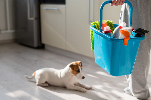 How often should you clean your house with pets