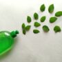 Green Cleaning: Keeping Your Home Spotless with Eco-Friendly Products