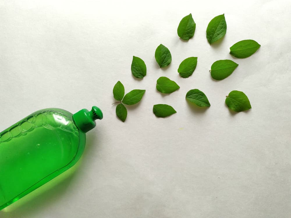 Green Cleaning: Keeping Your Home Spotless with Eco-Friendly Products