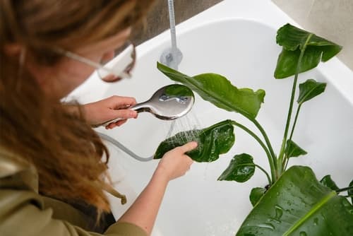 house cleaning company ridgewood ny