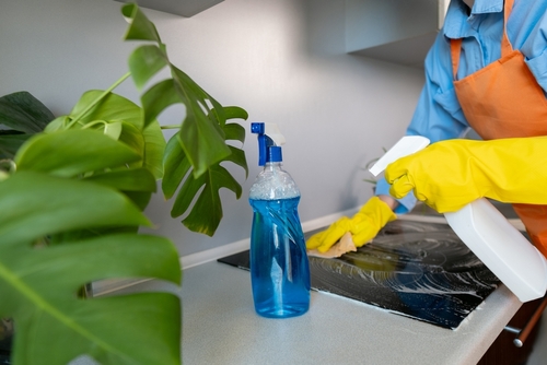 Who provides quality home cleaning in Hollis Hills