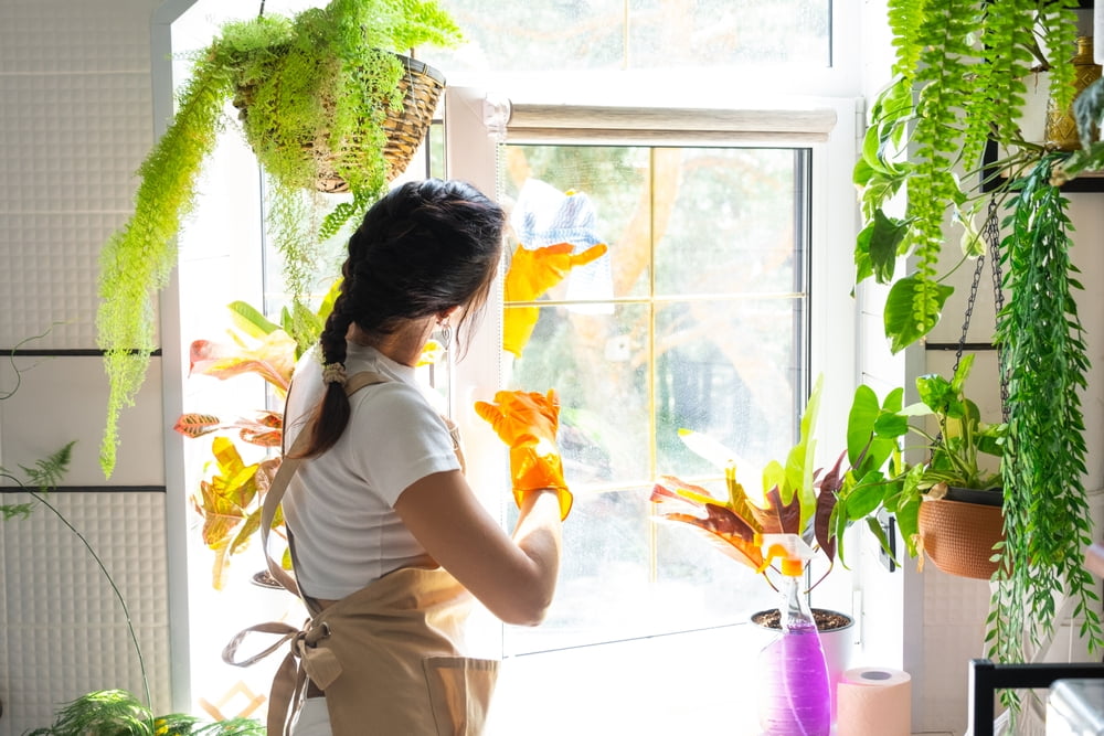 professional home cleaners in Ozone Park, NY