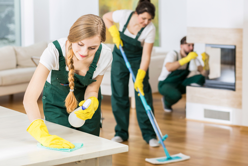 Whats the leading home cleaning company in Ozone Park, NY